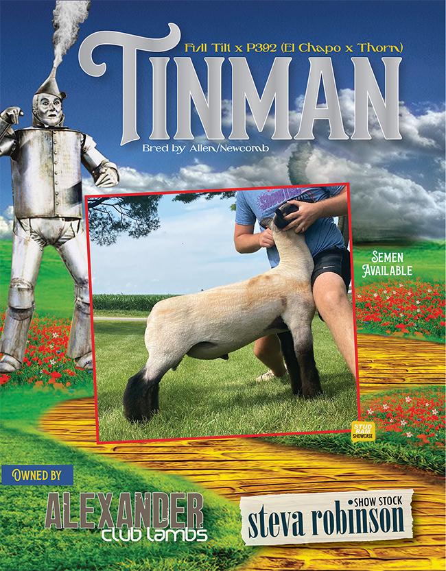 Tin Man