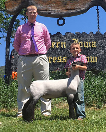 Alexander Show Lamb Champion