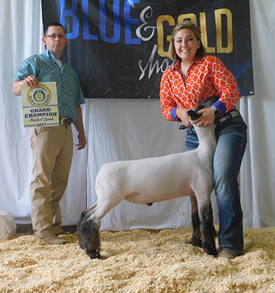 Alexander Show Lambs Winners