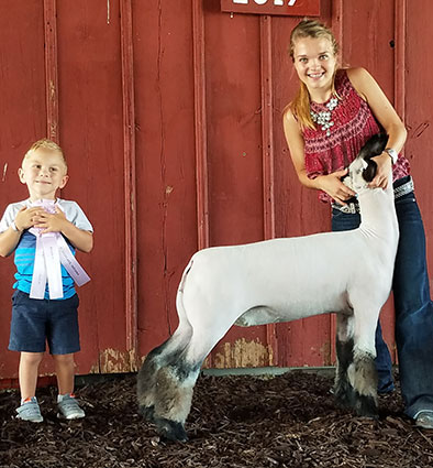 Alexander Show Lambs Winners