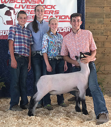 Alexander Show Lambs Winners