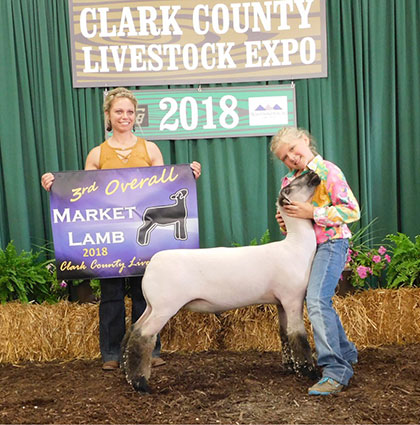 Alexander Club Lambs Winner